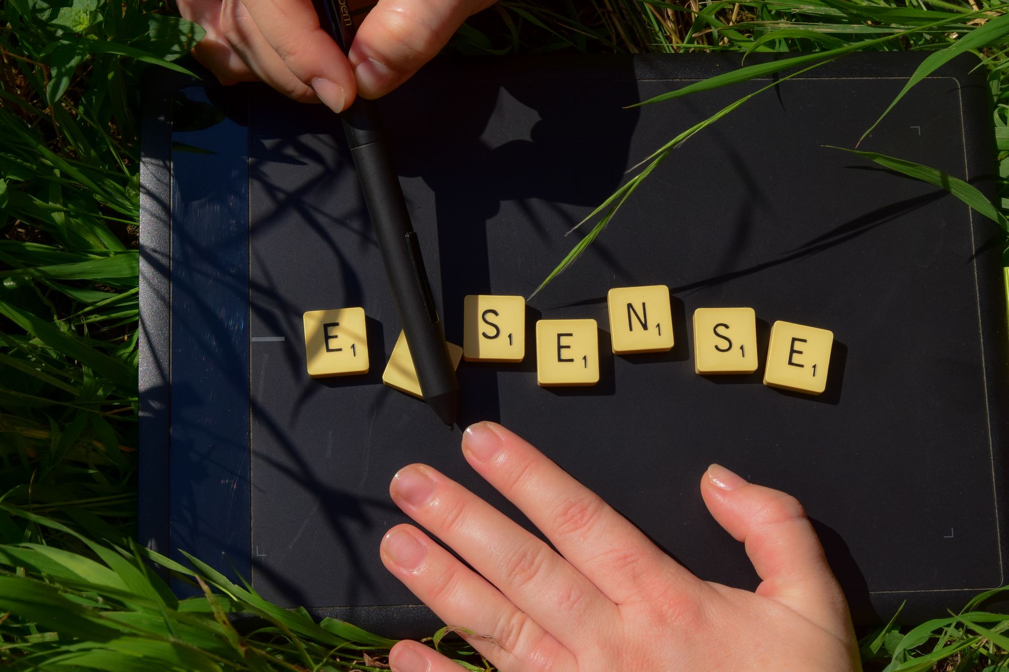 e-sense surdocecitate